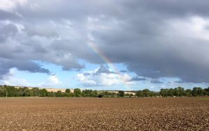 avebury